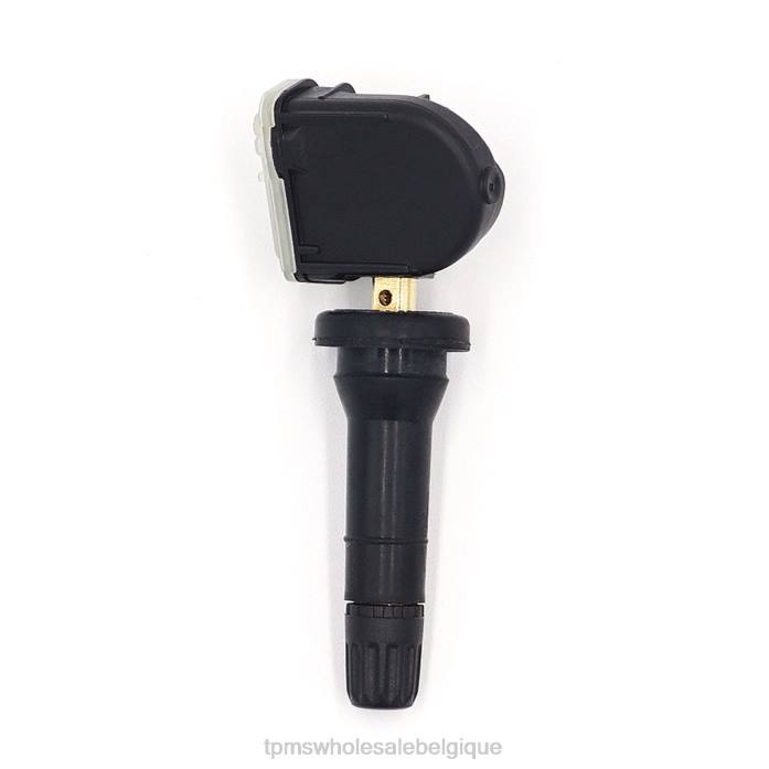 TPMS Voiture | 2VL61733 tpms changer le capteur de pression 3601010bs01 433mhz