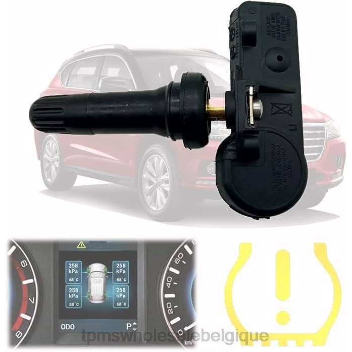TPMS Pneu | 2VL61692 tpms haval/gwm le capteur de pression 3641100xku00a 433mhz