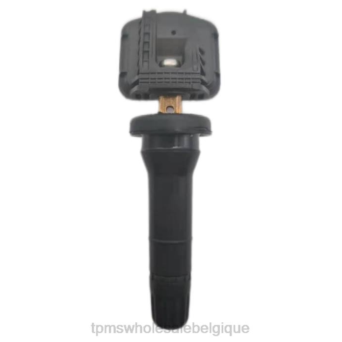 Capteur De Pression Des Pneus TPMS | 2VL61767 tpms xpeng le capteur de pression 8040002da1 433mhz